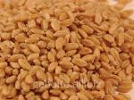 Пшеница с поставкой на Иран