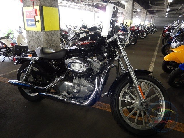 Мотоцикл  чоппер No. B5431 Harley Davidson XL883