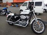 Мотоцикл  чоппер No. B5806 Harley Davidson XL883L SPORTSTER