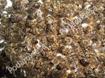 Пчелиный подмор 25 грамм