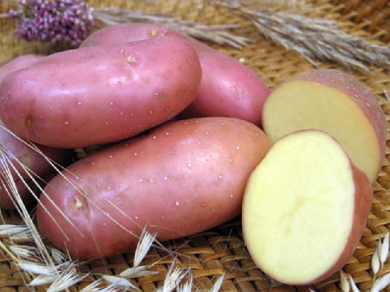 Картофель урожая 2012г.