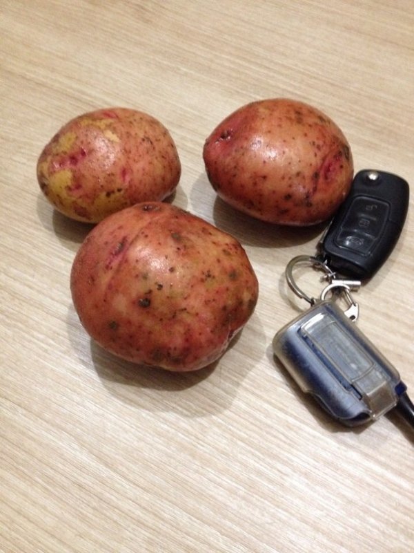 Продовольственный картофель от 14 руб.
