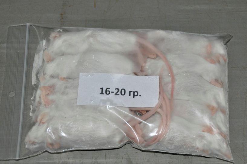 Замороженные мыши 16-20 Г