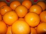 Апельсины Апельсины