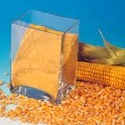 Кукурузный глютен
