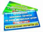 Магнитные визитки (стикеры магнитные)