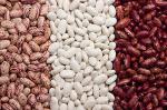 Фасоль продовольственный ( Kidney Beans )