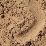 Строительный песок: песок карьерный, песок речной, песок мытый, кварцевый песок.