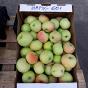 Яблоки урожая 2017 года от производителя в Белгородской области