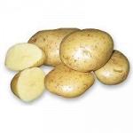 Купим органический картофель, выращенный на биогумусе