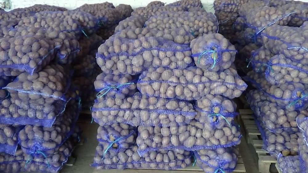 Картофель оптом из Брянска, со склада производителя