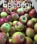 Яблоки из Крыма в ассортименте