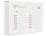 Терминал светодиодной индикации CADUCEUS SU-TE