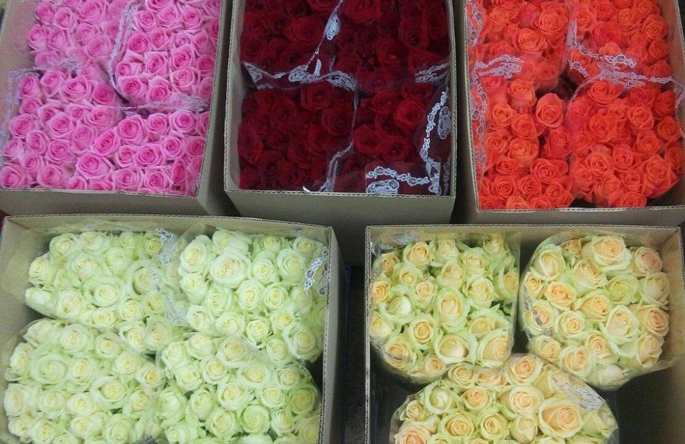 20 роз в банче (Россия 50 см)