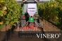 Сеялка разбросного посева для виноградников Vinero