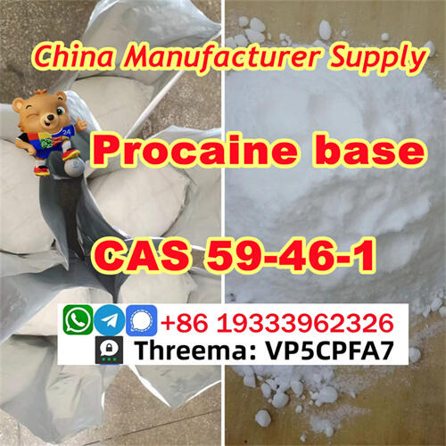 Procaine Procaina cas CAS 59-46-1 powder Chinese supplier