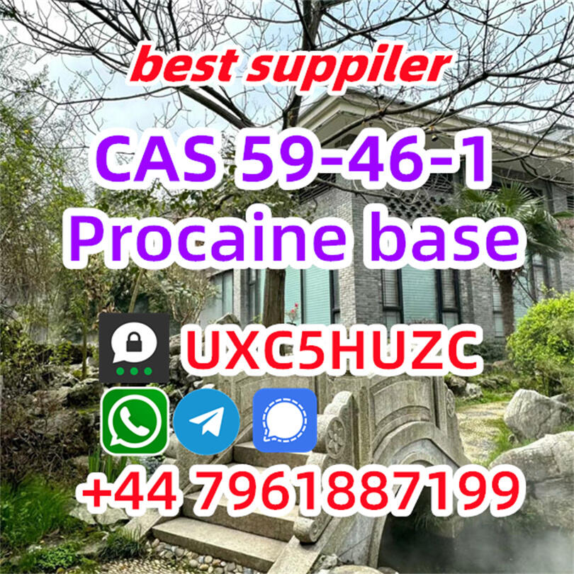 Procaine Base CAS 59-46-1 powder Procaine HCl