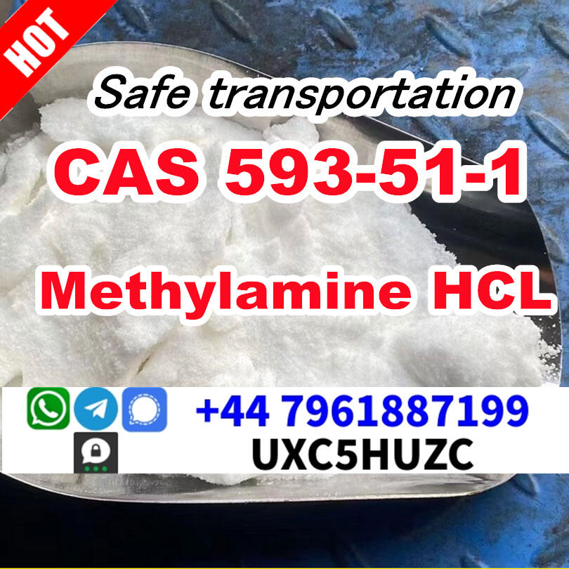 Methylamine hydrochloride CAS 593-51-1 High Purity