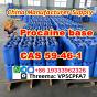 Procaine Procaina cas CAS 59-46-1 powder Chinese supplier