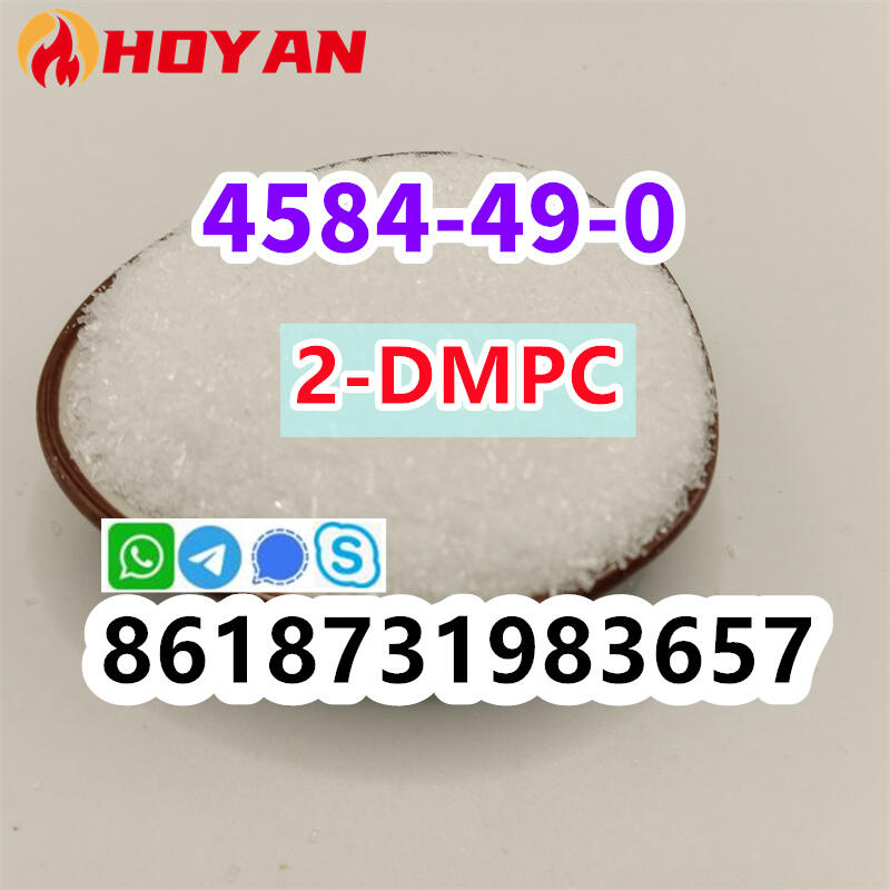 cas4584-49-0 shiny 2-DMPC 2-Chloro-1-(dimethylamino)propane Hydrochloride powder