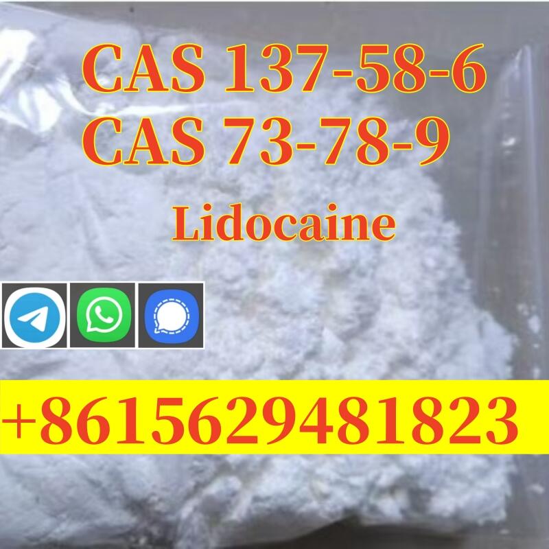 CAS 137-58-6 Lidocaine Factory Supplied High Purity Safe Delivery CAS 137-58-6 Lidocaine Factory Supplied High Purity Safe Delivery