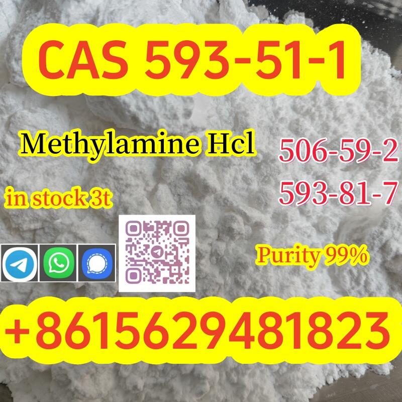 Purity 99% Methylamine hydrochloride CAS 593–51–1 Large quantity available from stock Purity 99% Methylamine hydrochloride CAS 593–51–1 Large quantity available from stock