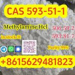 Purity 99% Methylamine hydrochloride CAS 593–51–1 Large quantity available from stock