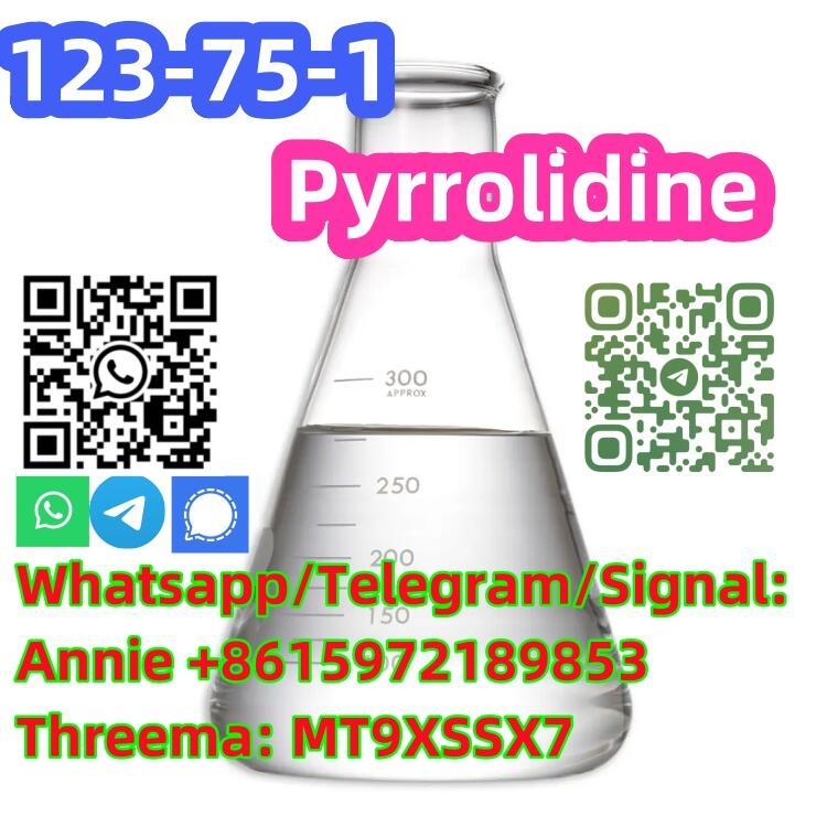 Buy High quality and fast delivery Pyrrolidine CAS 123-75-1 made in China