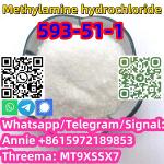 good price fast delivery CAS 593-51-1 Methylamine hydrochloride