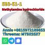 CAS 593-51-1 Methylamine hydrochloride LT-S9151 good price with high qualtiy