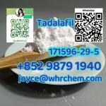 Tadalafil cas 171596-29-5 local warehouse 99% Purity