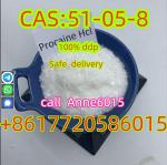 Procaine CAS 51-05-8 Procaine Hydrochloride Limited Stock