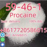 Procaine manufacturer supply CAS 59-46-1 Procaine hcl powder with China factory price +8617720586015