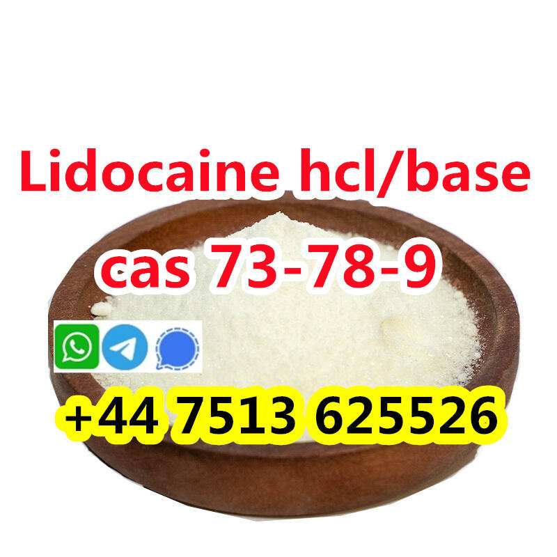 wholesale price cas 73-78-9 Lidocaine Hydrochloride powder