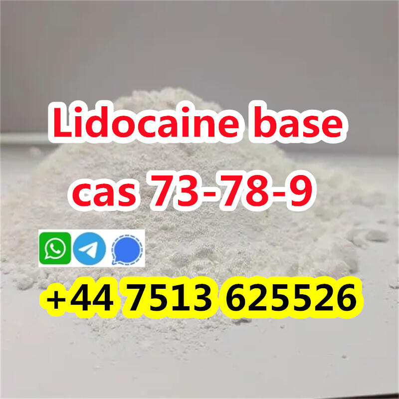 cas 137-58-6 Lidocaine base to europe safety