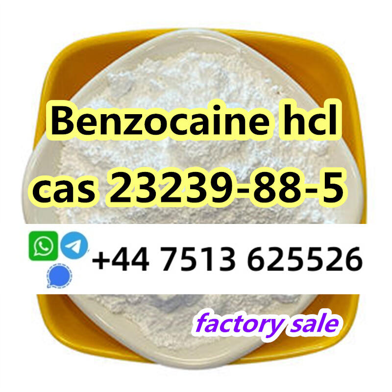 cas 23239-88-5 Benzocaine Hydrochloride hcl factory direct supply