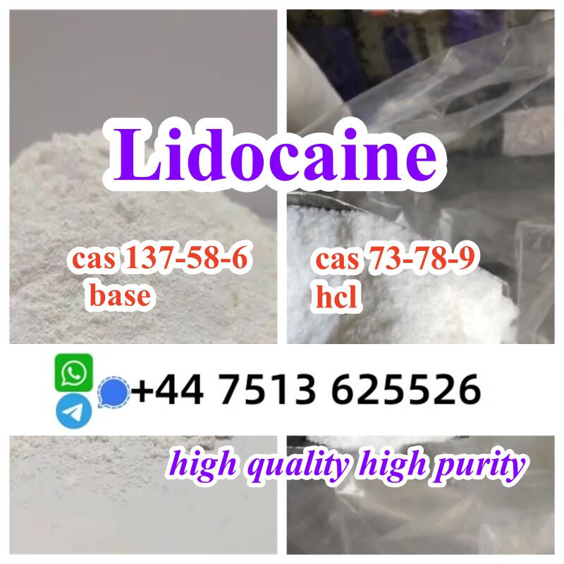 high quality cas 137-58-6 Lidocaine base cas 73-78-9 Lidocaine hcl global ship