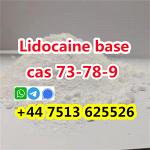 cas 137-58-6 Lidocaine base to europe safety