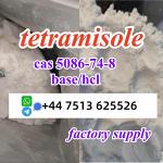 cas 5086-74-8 tetramisole hcl base powder door to door ship worldwide - Раздел: Медицинские товары, фармацевтическая продукция