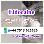 high quality cas 137-58-6 Lidocaine base cas 73-78-9 Lidocaine hcl global ship