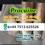 procaine base cas 59-46-1 procaine hcl cas 51-05-8 ship to nl pl eu