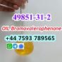 cas 49851-31-2 OIL Bromovalerophenone