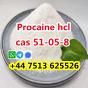 high purity cas 51-05-8 Procaine Hcl Procaine Hydrochloride global ship