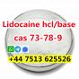 wholesale price cas 73-78-9 Lidocaine Hydrochloride powder