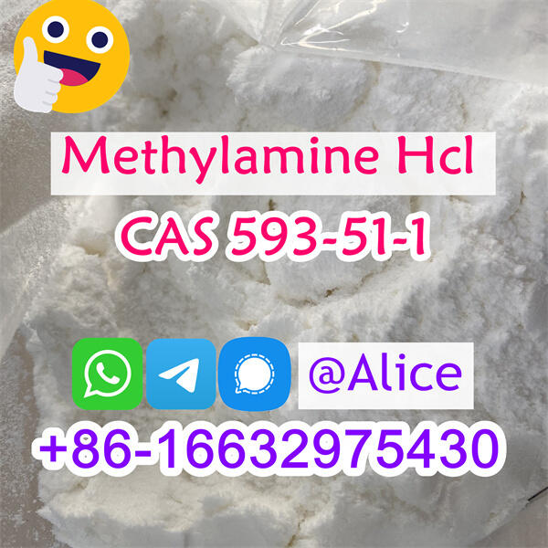 Pure Methylamine Hcl CAS 593-51-1 Methylamine Hydrochloride for Sale