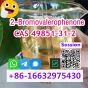 Premium 2-Bromovalerophenone CAS 49851-31-2 2-Bromo-1-phenyl-pentan-1-one Order Today