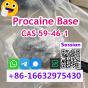 Procaine CAS 59-46-1 Procaine Base Fast and Reliable Service