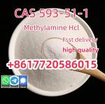 CAS 593-51-1 Methylamine Hydrochloride