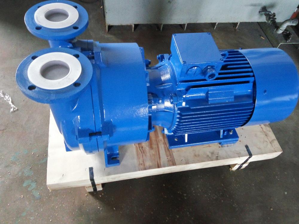 2BV5131 Water Ring Vacuum Pump