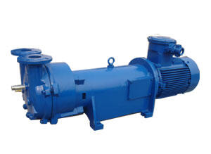 2BV2 070 Water Ring Vacuum Pump for Mine